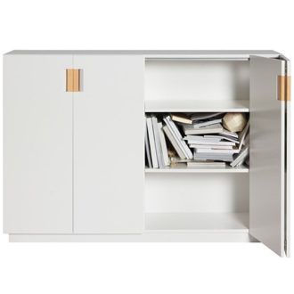 Frame Cabinet With Folding Door