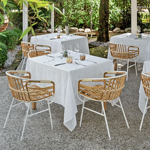 Rattan dining chairs discount freedom