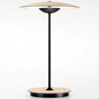 Ginger Portable Light