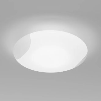 Lio Wall & Ceiling Light
